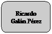 Rectngulo redondeado: Ricardo Galn Prez
